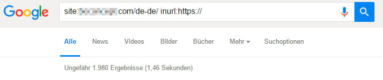 Google Site Abfrage der https-Seiten